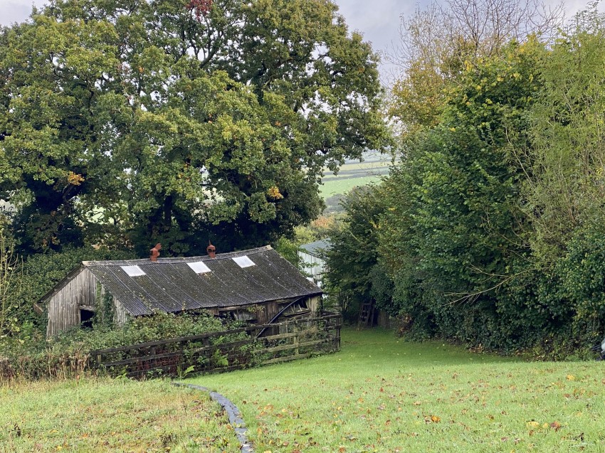 Images for Yelverton