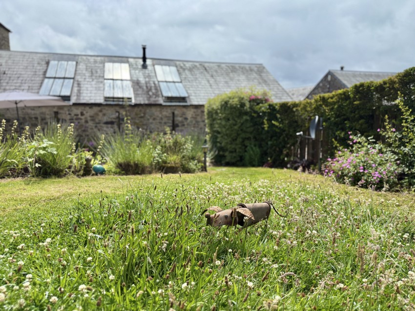 Images for Week, Tavistock