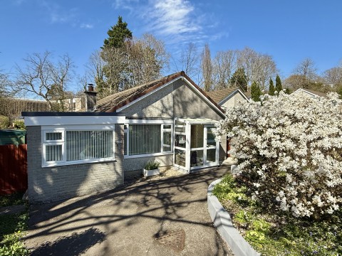 View Full Details for Tavistock