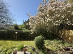 Images for Horrabridge