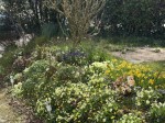 Images for Horrabridge