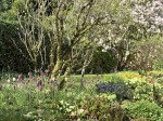 Images for Horrabridge