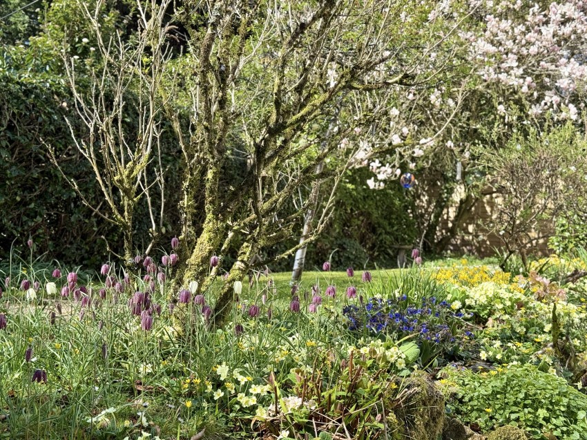 Images for Horrabridge