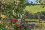 Images for Whitchurch, Tavistock