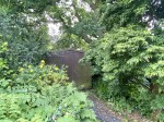 Images for Dousland, Yelverton