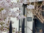 Images for Tavistock Town Centre