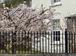 Images for Tavistock Town Centre