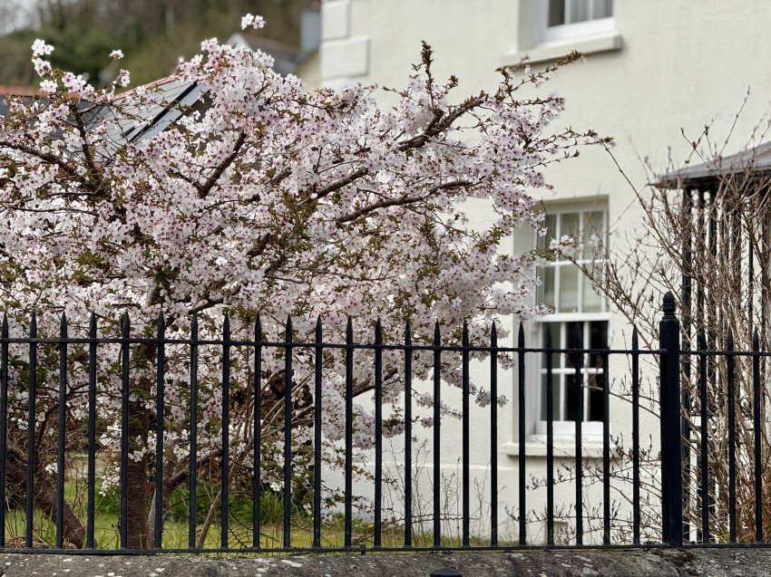 Images for Tavistock Town Centre