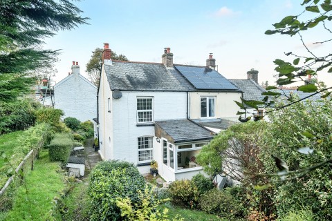 View Full Details for North Dimson, Gunnislake