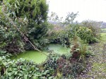 Images for North Dimson, Gunnislake