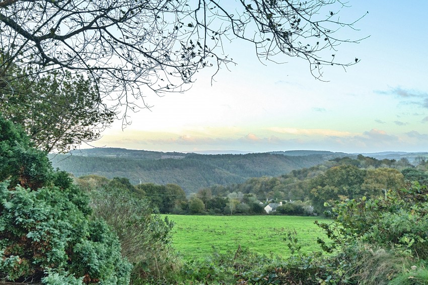 Images for North Dimson, Gunnislake