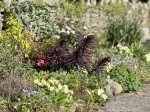 Images for Crapstone, Yelverton