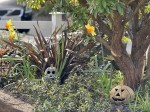 Images for Crapstone, Yelverton