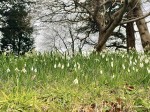 Images for Plympton St Maurice, Plympton, Plymouth