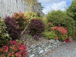 Images for Tavistock