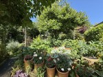 Images for Sampford Spiney, Yelverton