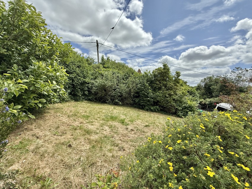 Images for Tavistock